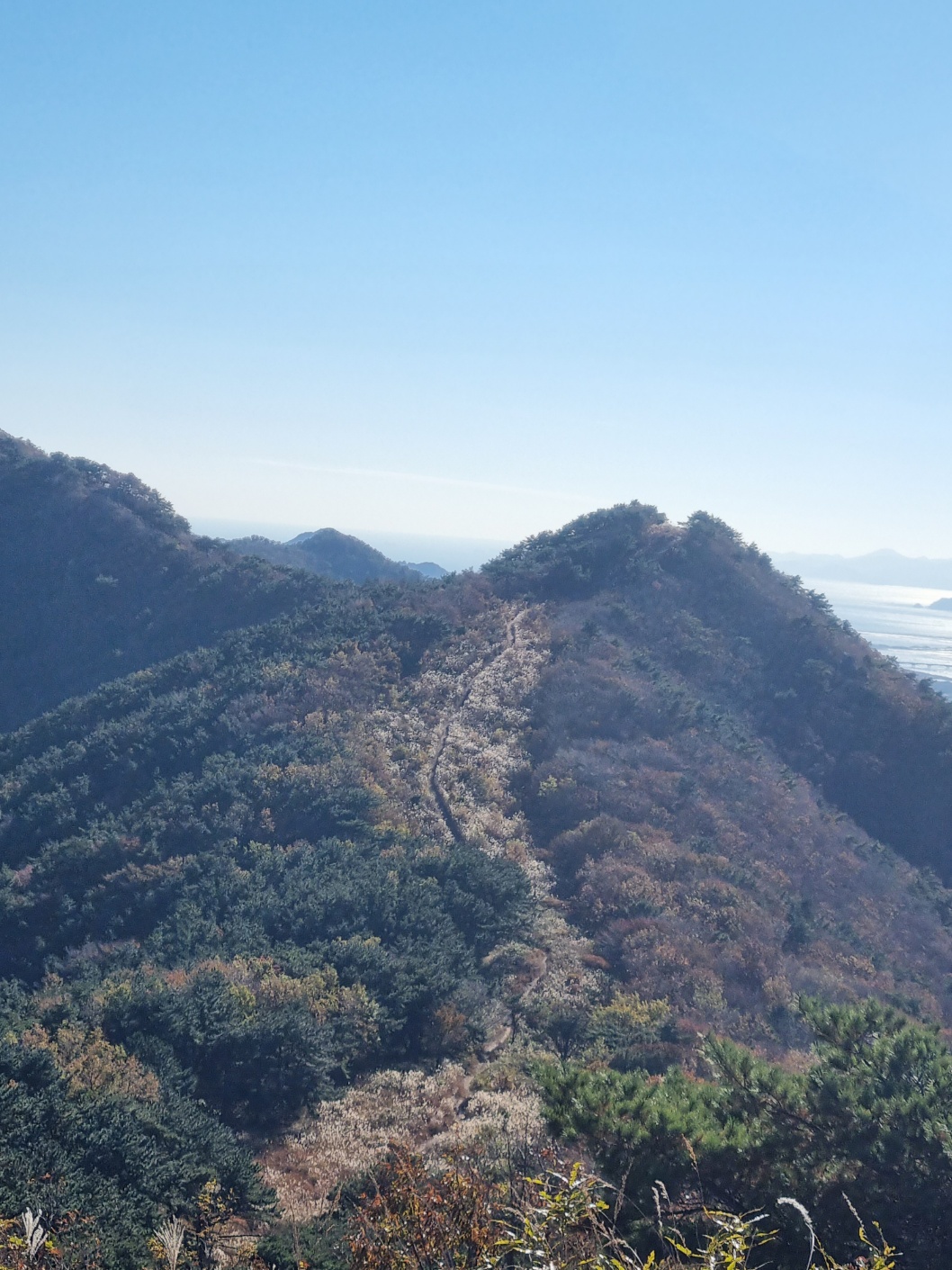 백양산