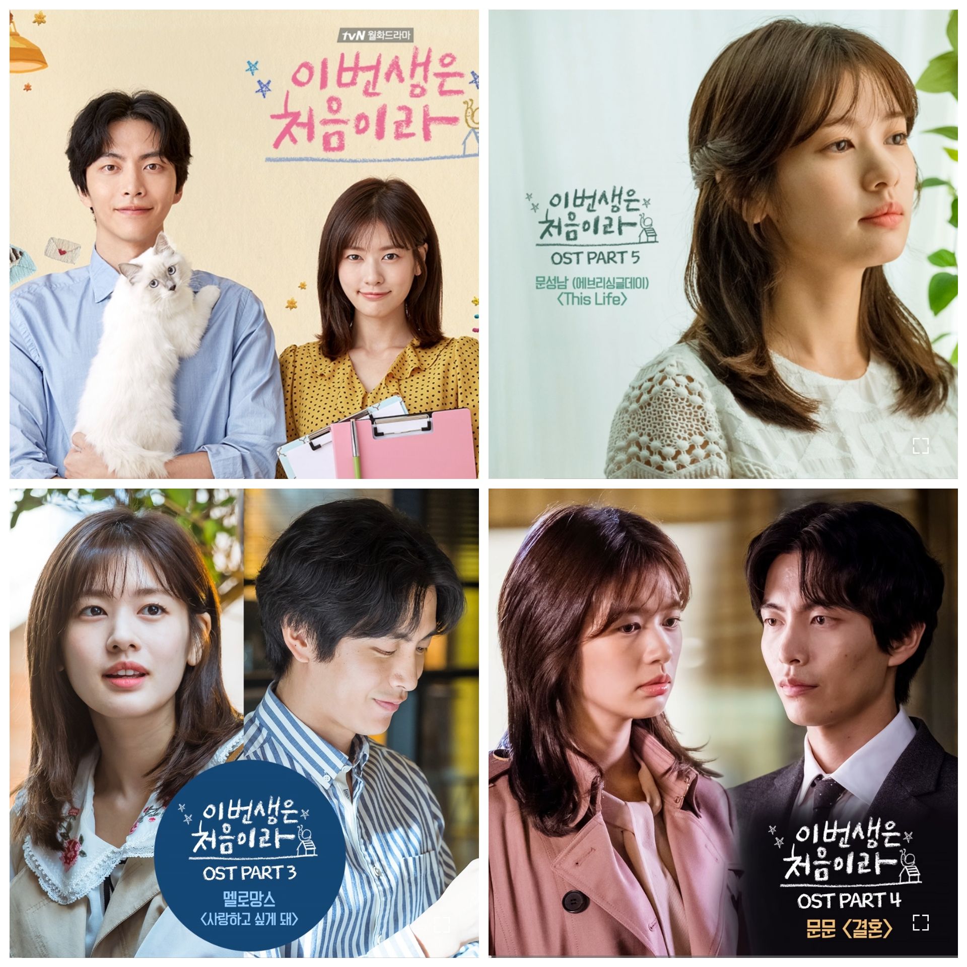 이번 생은 처음이라 포스터 이미지