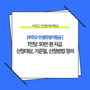 부안군 민생안정지원금