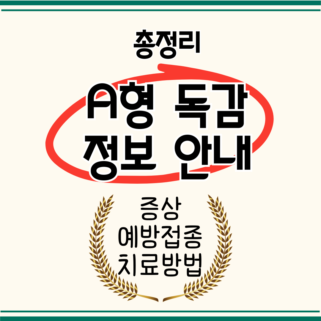A형 독감 정보 안내
