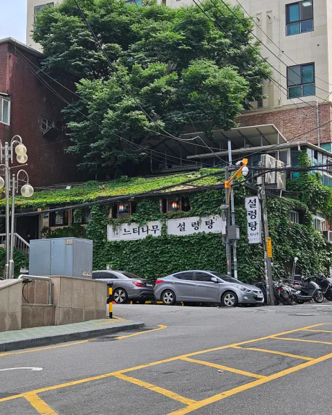 생생정보 우와한 식당 설렁탕 음식점