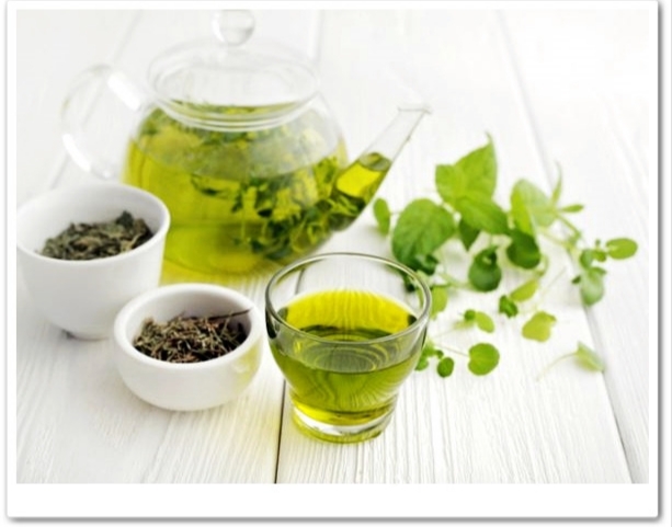 녹차이미지/사진