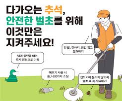 벌초대행 가격비교