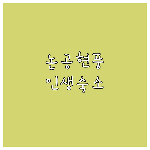 대구 논공 현풍 비즈니스 출장 및 자..