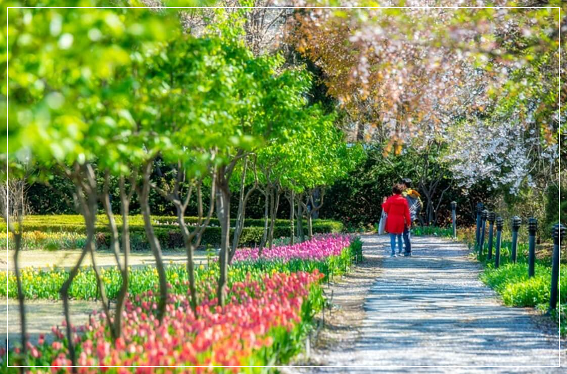 파주 가볼만한곳 베스트10 벽초지 수목원