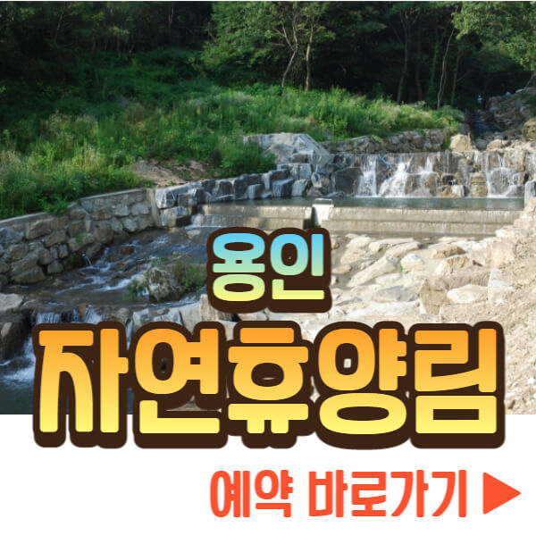 용인자연휴양림