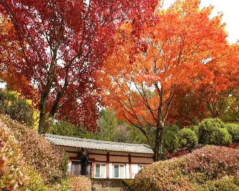 배론성지_7
