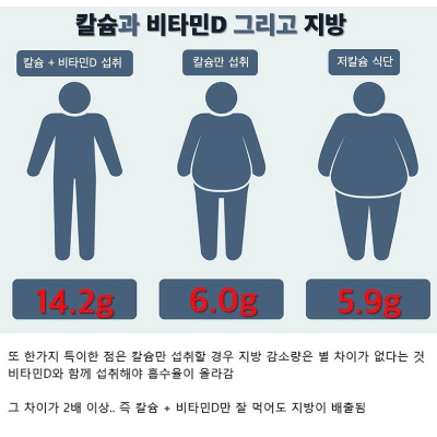 칼슘부족하면 절대로 살안빠진다.