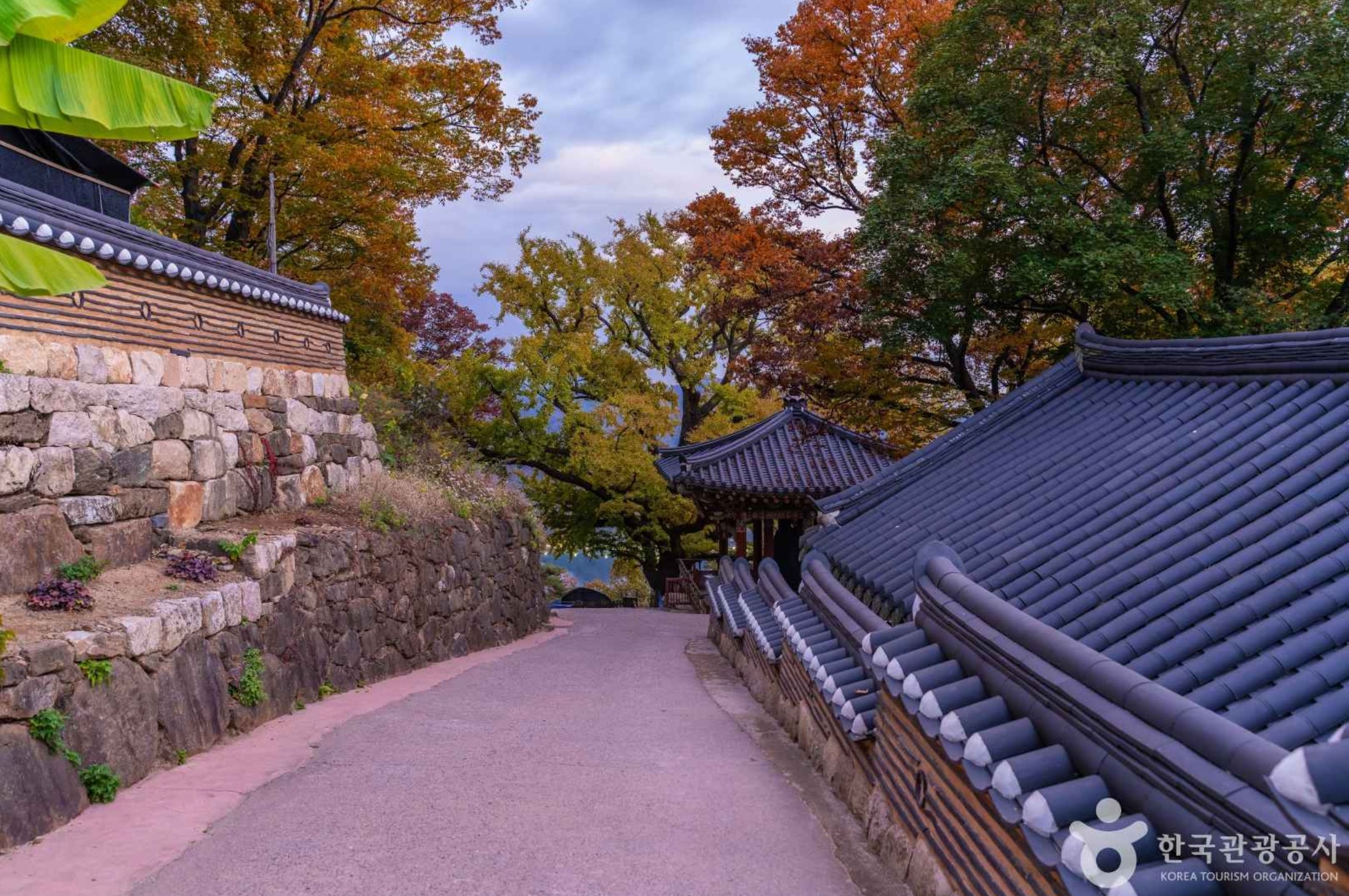 운길산-산책로