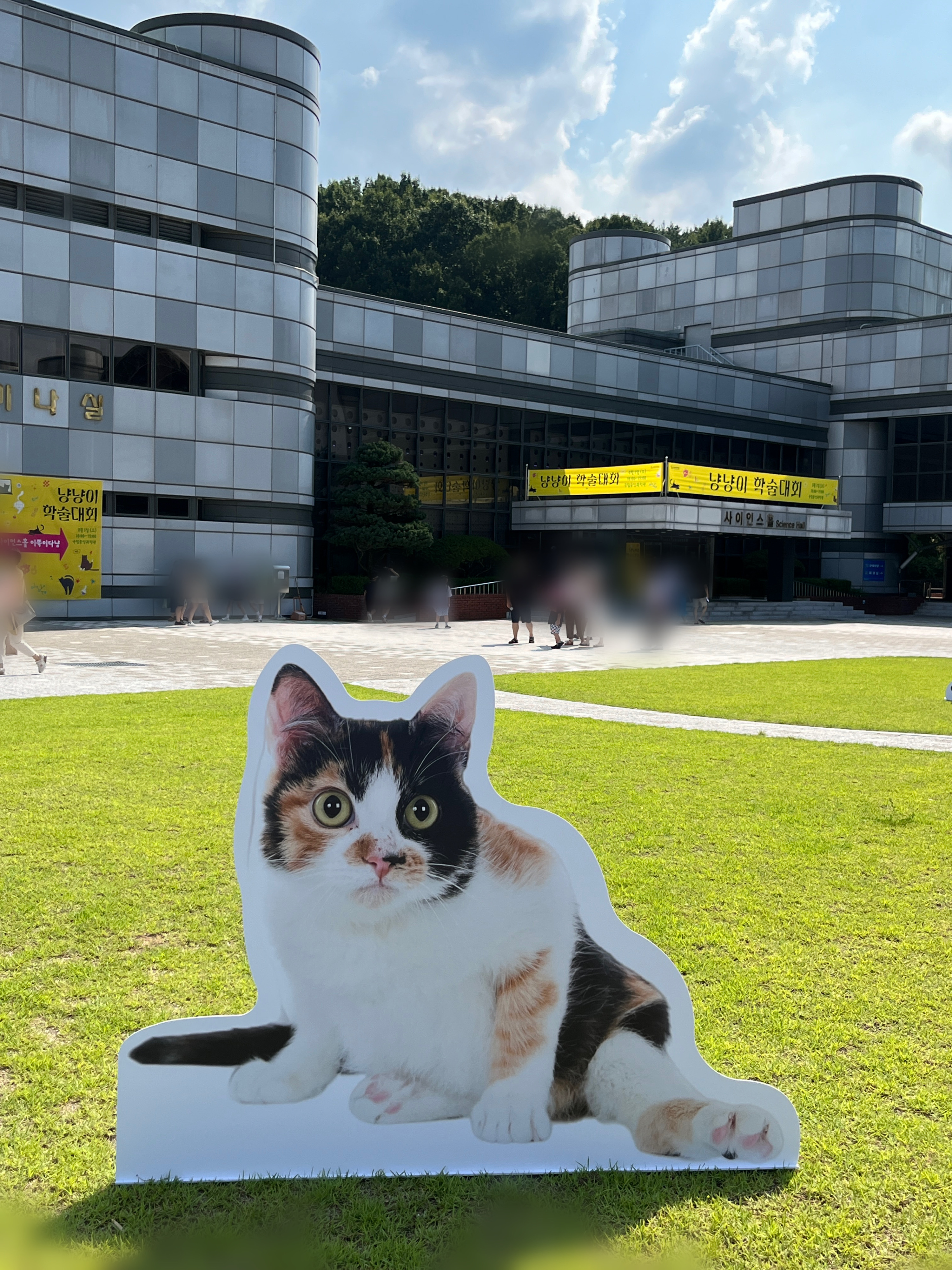 냥냥이학술대회