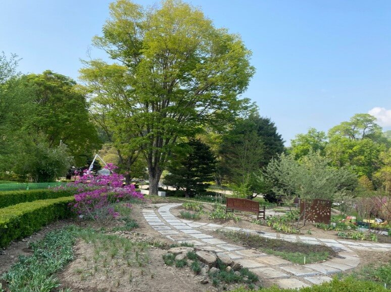 포천 광릉수목원! 숨겨진 힐링 명소, 포천 광릉수목원 완전 정복