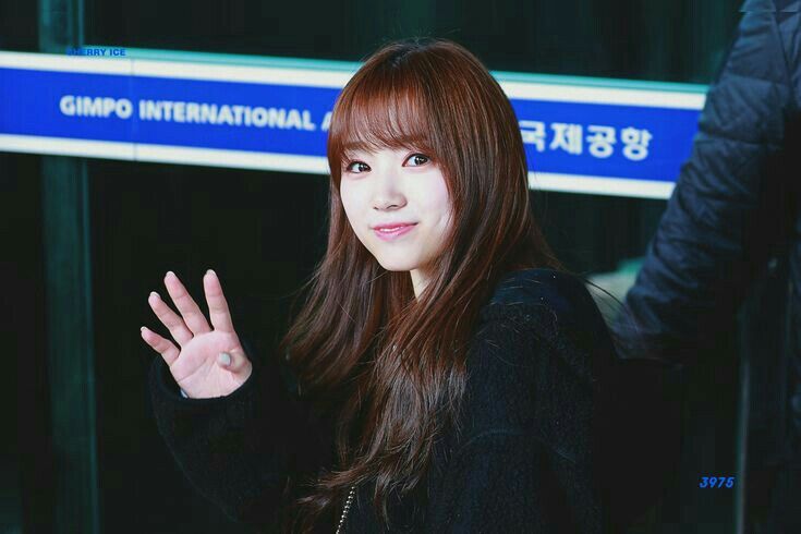 아이즈원 야부키나코 아이즈원 야부키나코