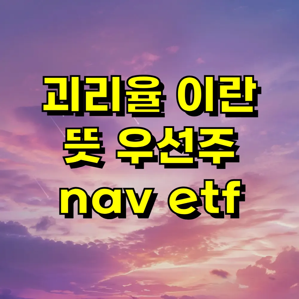 괴리율 이란 뜻 우선주 nav etf