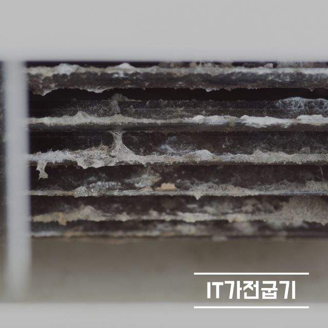 삼성무풍에어컨 냄새 청소