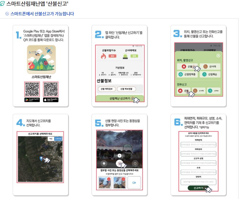 역대-재난사태-선포사례-산불-발생시-대피요령-산불처벌-과태료-예방수칙