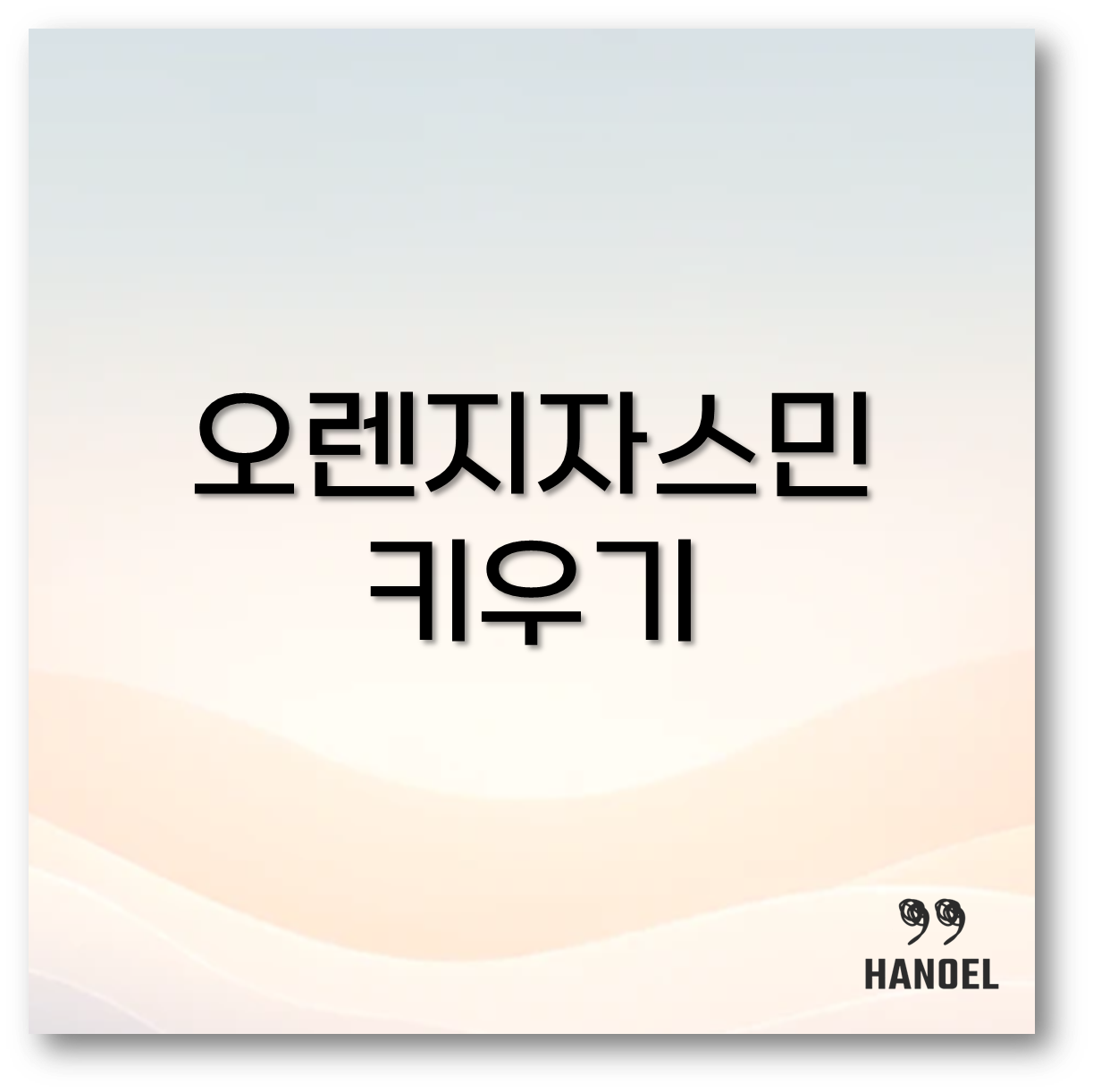 오렌지자스민