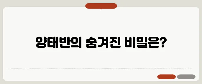 양태반 효능 정리 피부와 피로 개선에 좋다고 알려진 이유