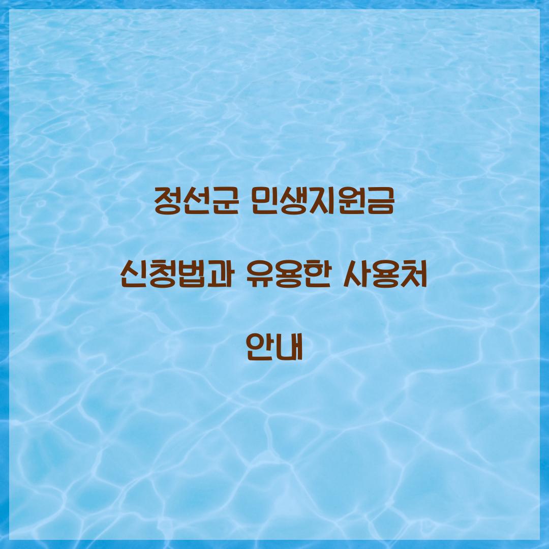 정선군 민생지원금 신청