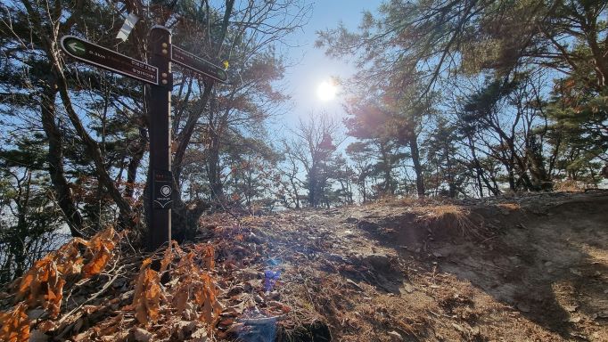 푸른하늘, 역광, 왼쪽에 이정표, 우거진 소나무 숲,