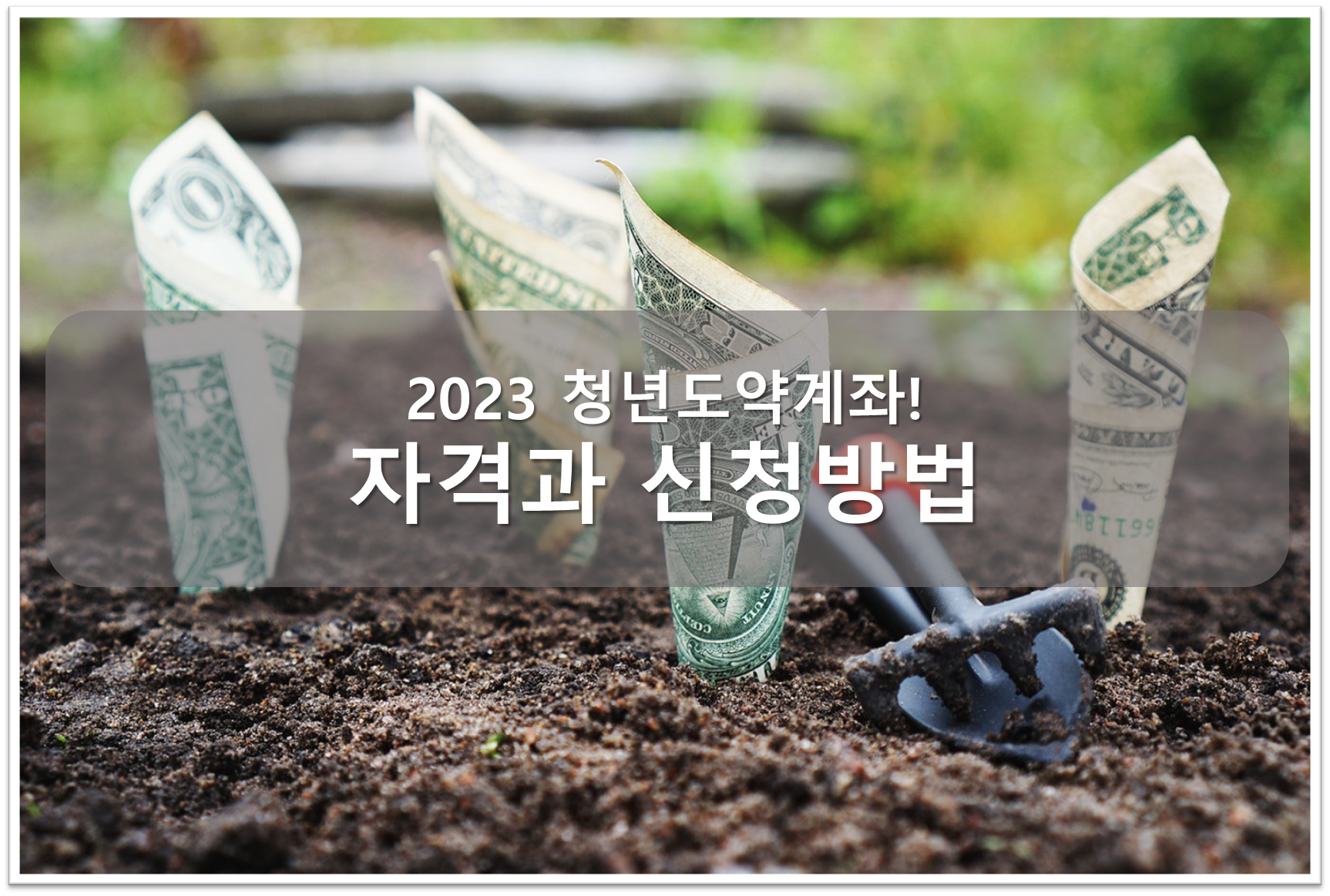 청년도약계좌