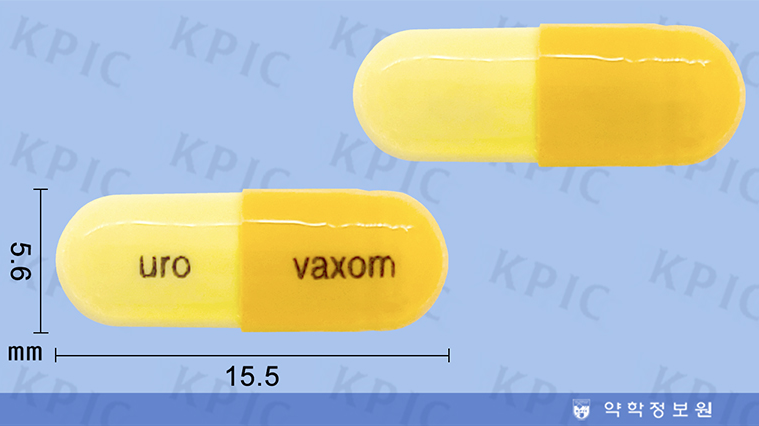 유로박솜캡슐: 효능, 용법, 그리고 주의사항