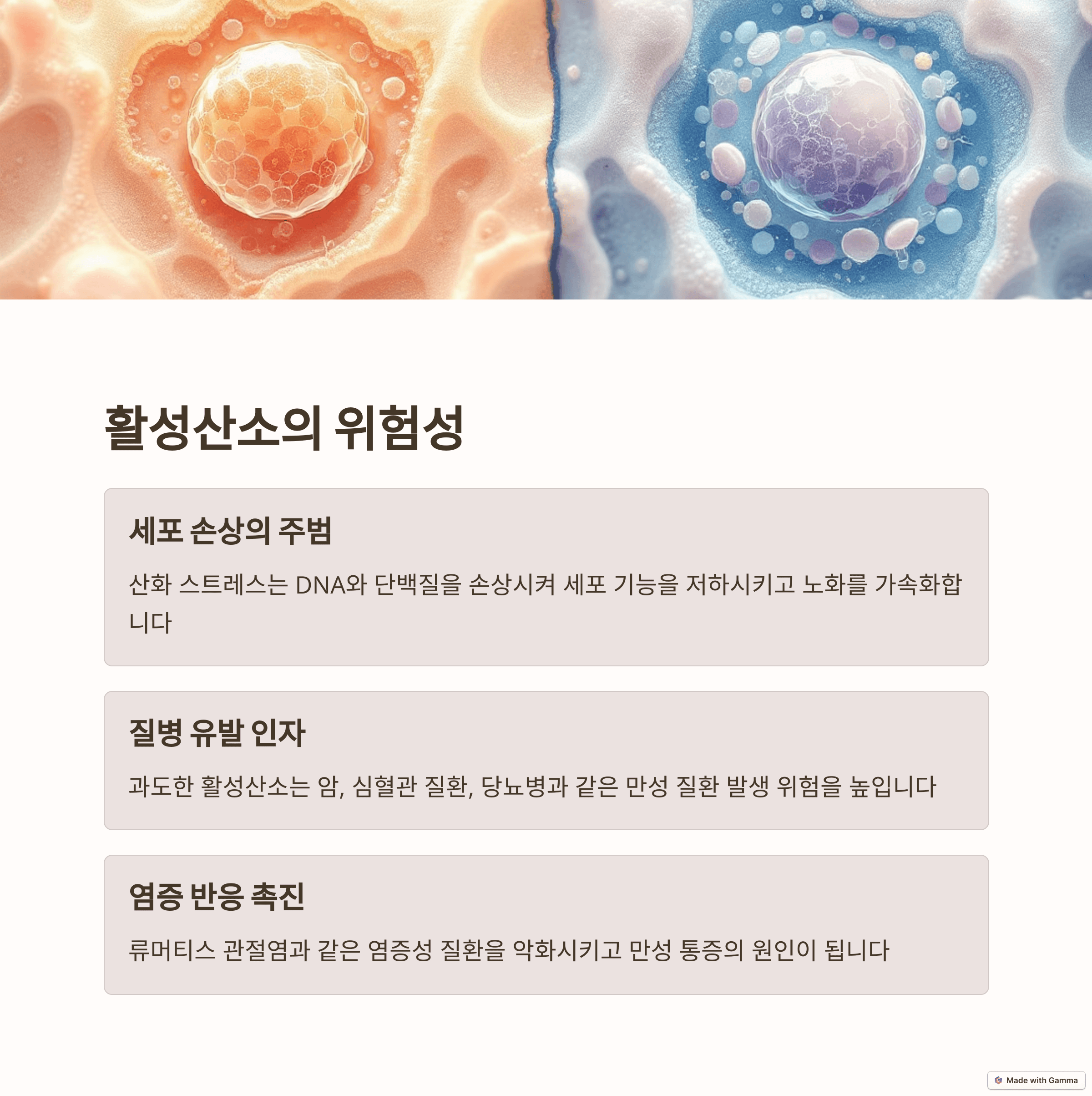 노화 지연의 핵심, 항산화 비타민: 젊음 유지 비법 &amp; 완벽 가이드
