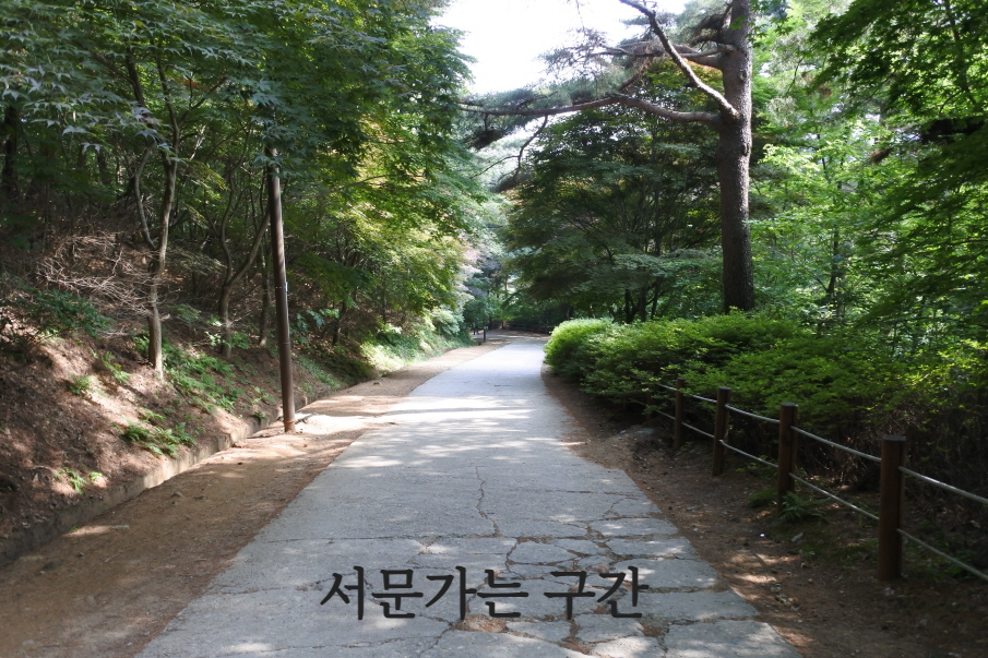 서문가는 길