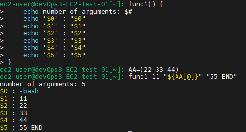 함수에 인수 전달