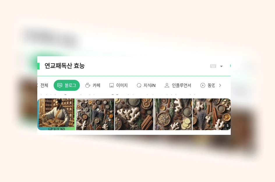 연교패독산 효능_1_subsection