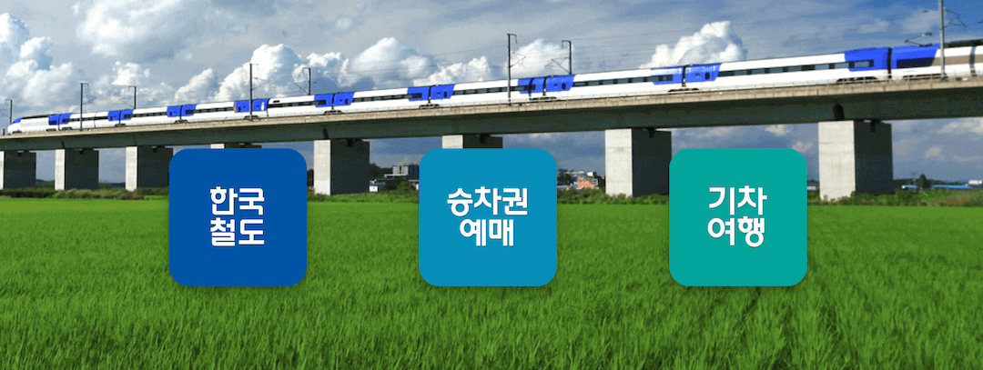 이미지 설명