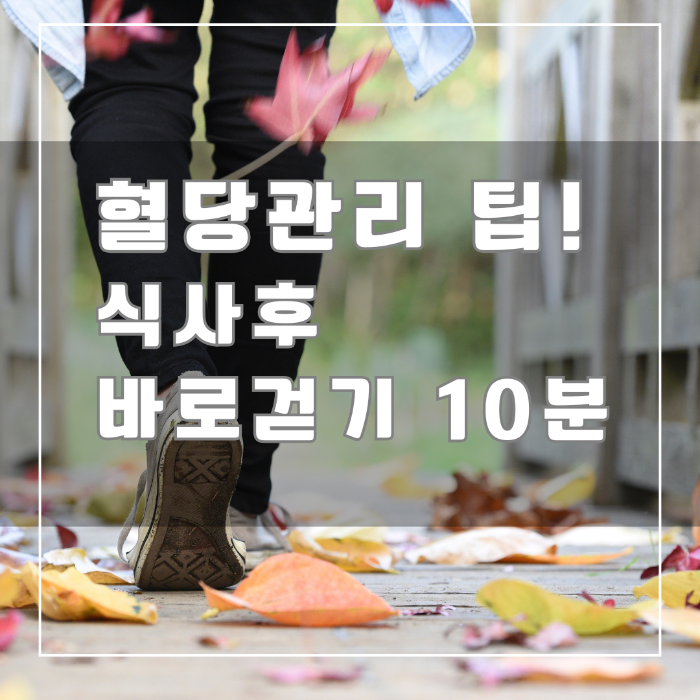 혈당관리 팁