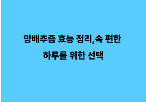 양배추즙 효능 정리,속 편한 하루를 위한 선택