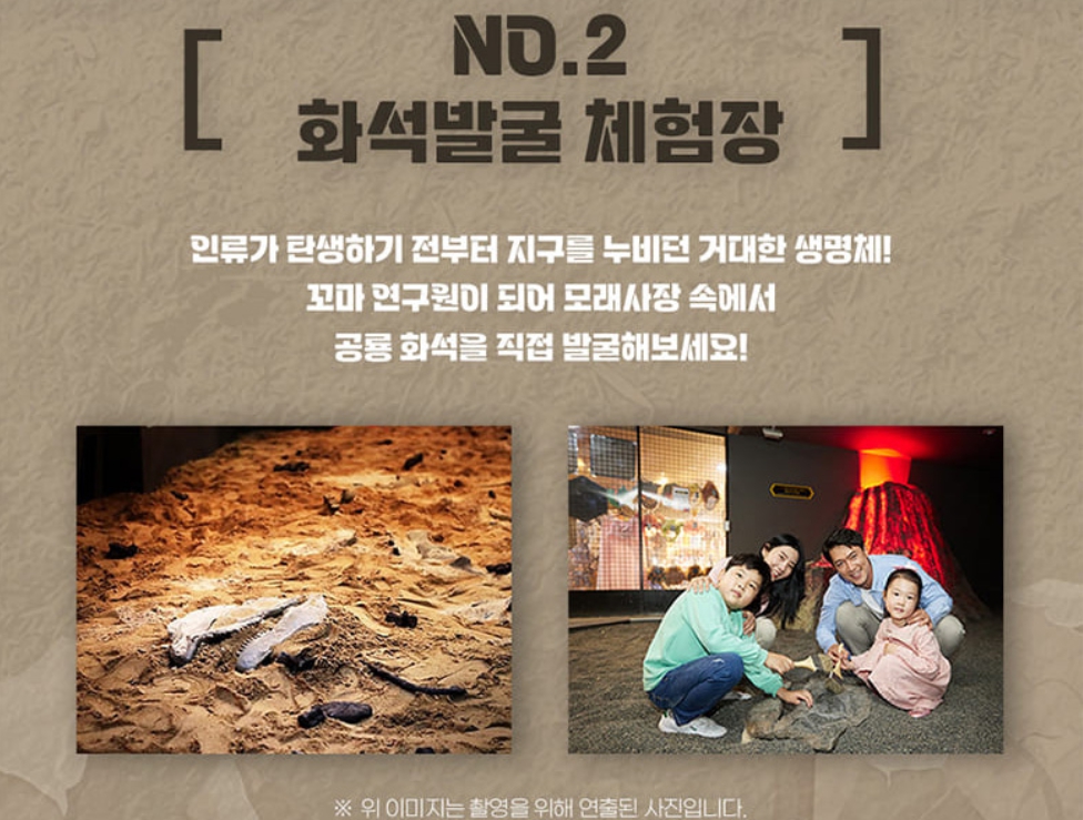 쥬라기랜드 화석발굴체험