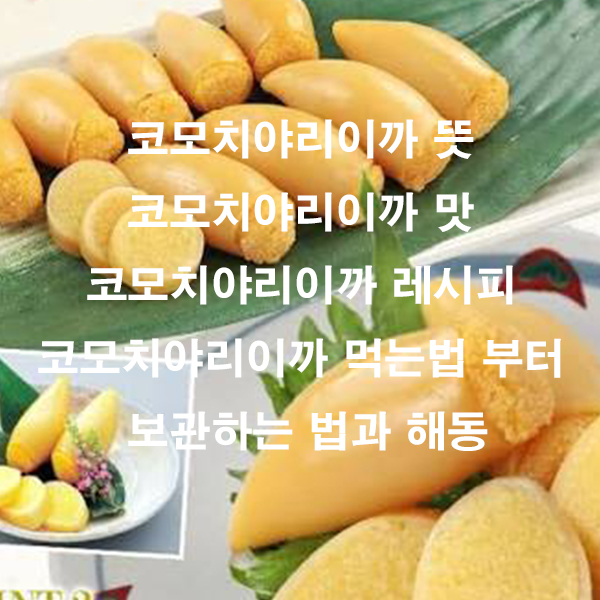 코모치야리이까 뜻 코모치야리이까 맛 코모치야리이까 레시피 코모치야리이까 먹는법 부터 보관하는 법과 해동