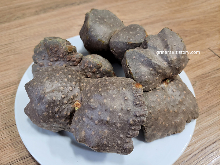 수확한-하늘마-열매마