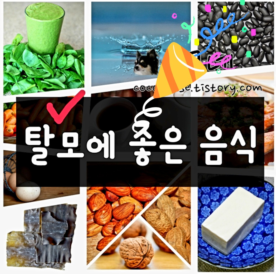 탈모에 좋은 음식