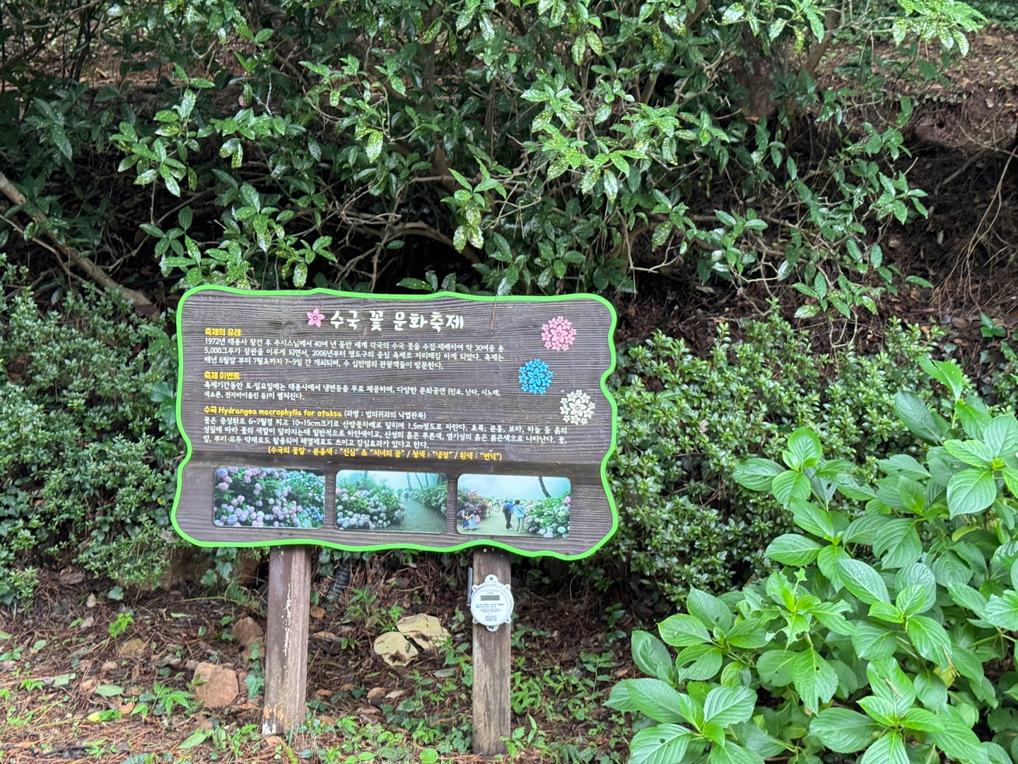 태종사