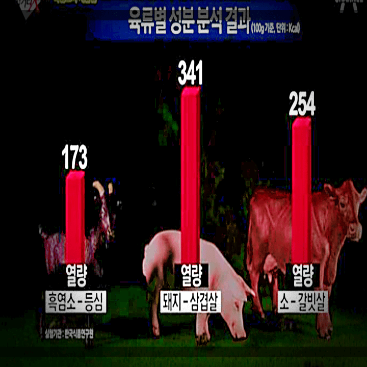 흑염소-고기-육류별-성분-분석-결과
