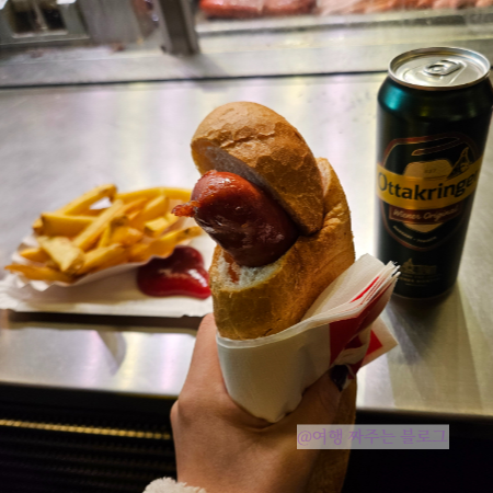 #비엔나여행 #빈여행 #비엔나4박5일 #비엔나여행경비 #비엔나여행코스