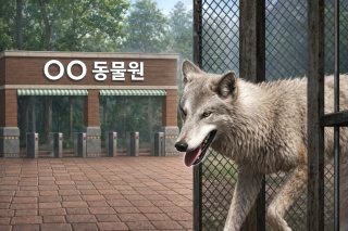 대전 늑대 동물원 오월드 탈출 퓨마 포획 상황