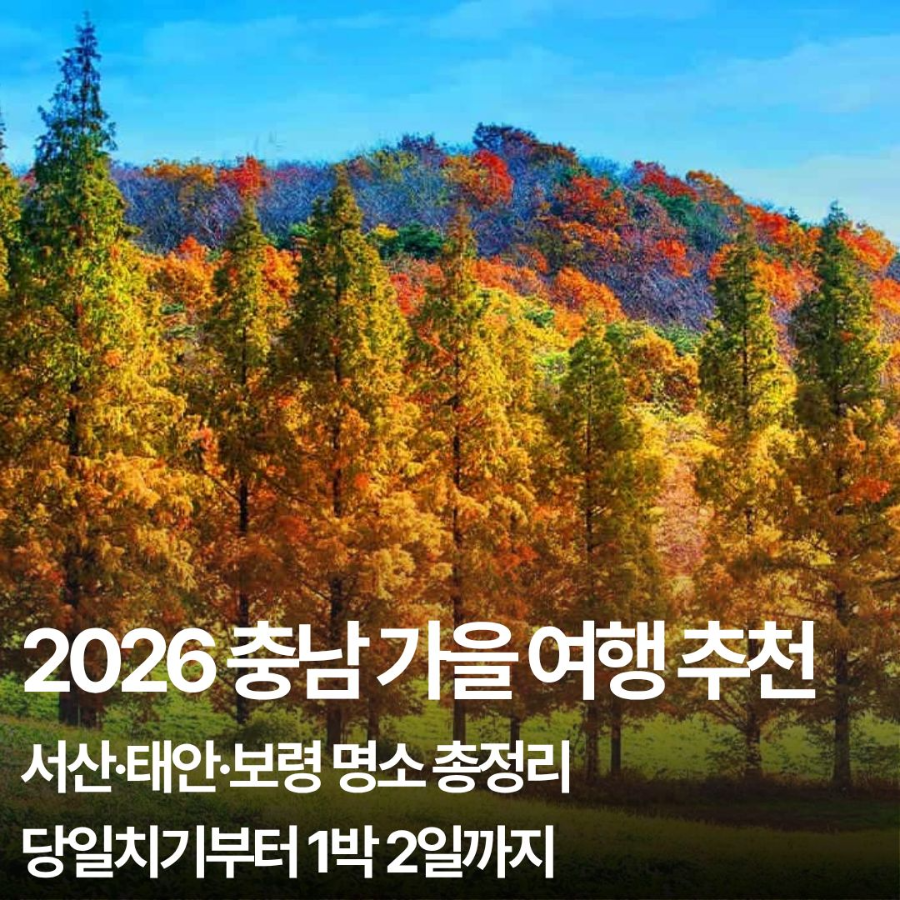 충남 가을 여행지 추천