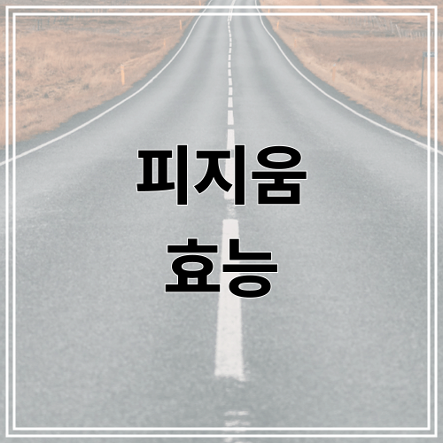피지움 효능