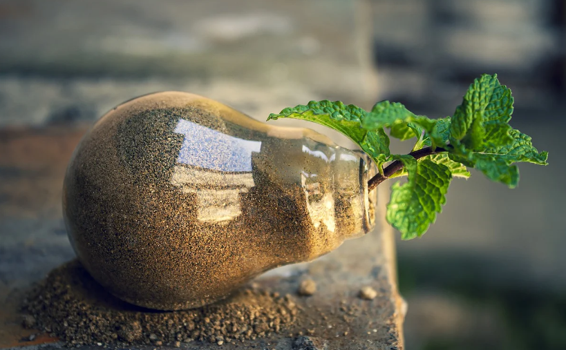 기후행동 기회소득