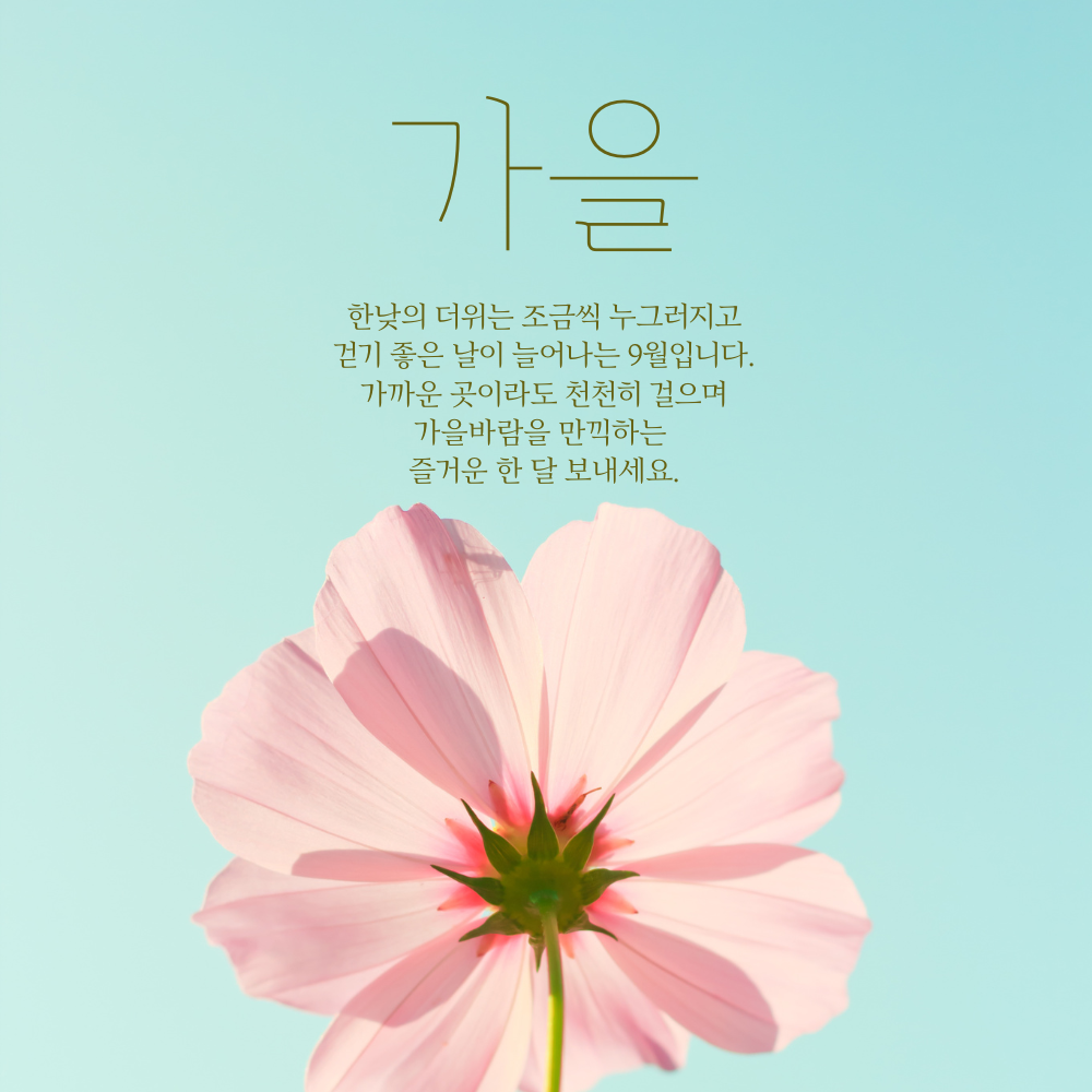 가을바람을 느끼며 산책하기 좋은 9월 인사말 이미지