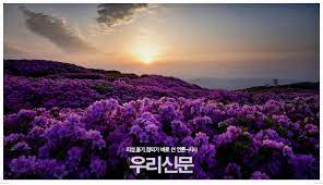 제2회 칠서 생태공원 청보리&middot;작약축제 기본일정과 프로그램 정의 신유 출연