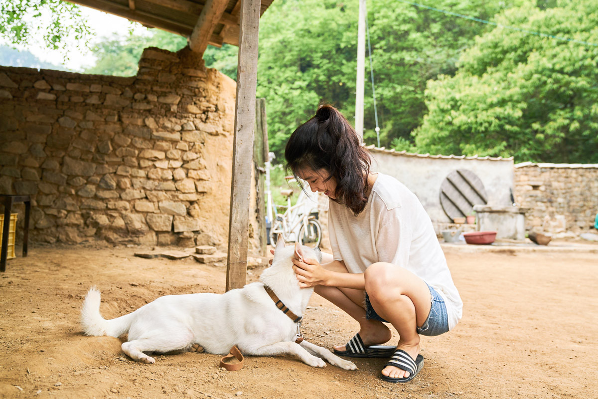 원작과 다르게 적절하게 강아지를 선택한 영화의 모습