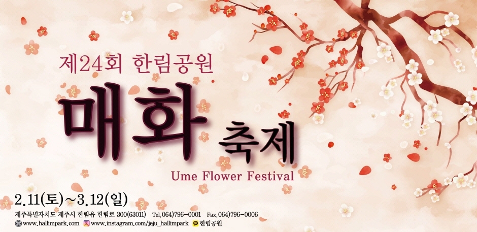 제주도 축제 일정