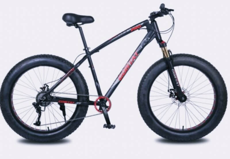 타이어가-두꺼운-검은색-펫바이크