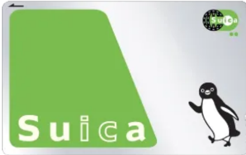 초록색의 카드 사진