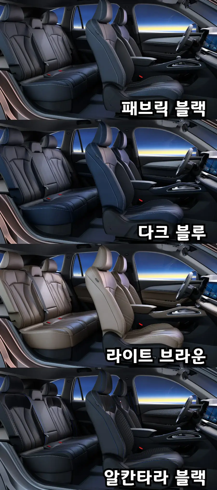 그랑콜레오스-내장색상